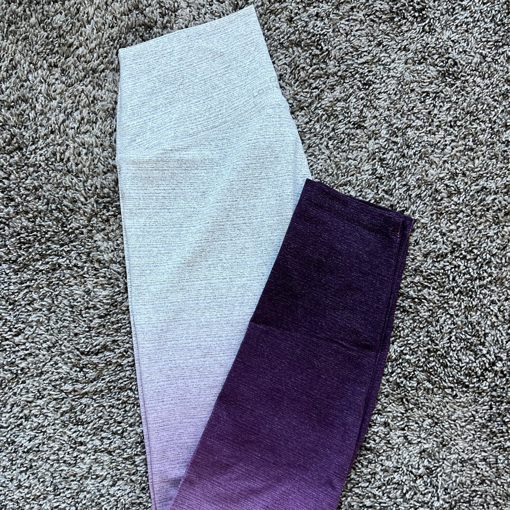 Renew Core Ombre Ankle Biter Tight